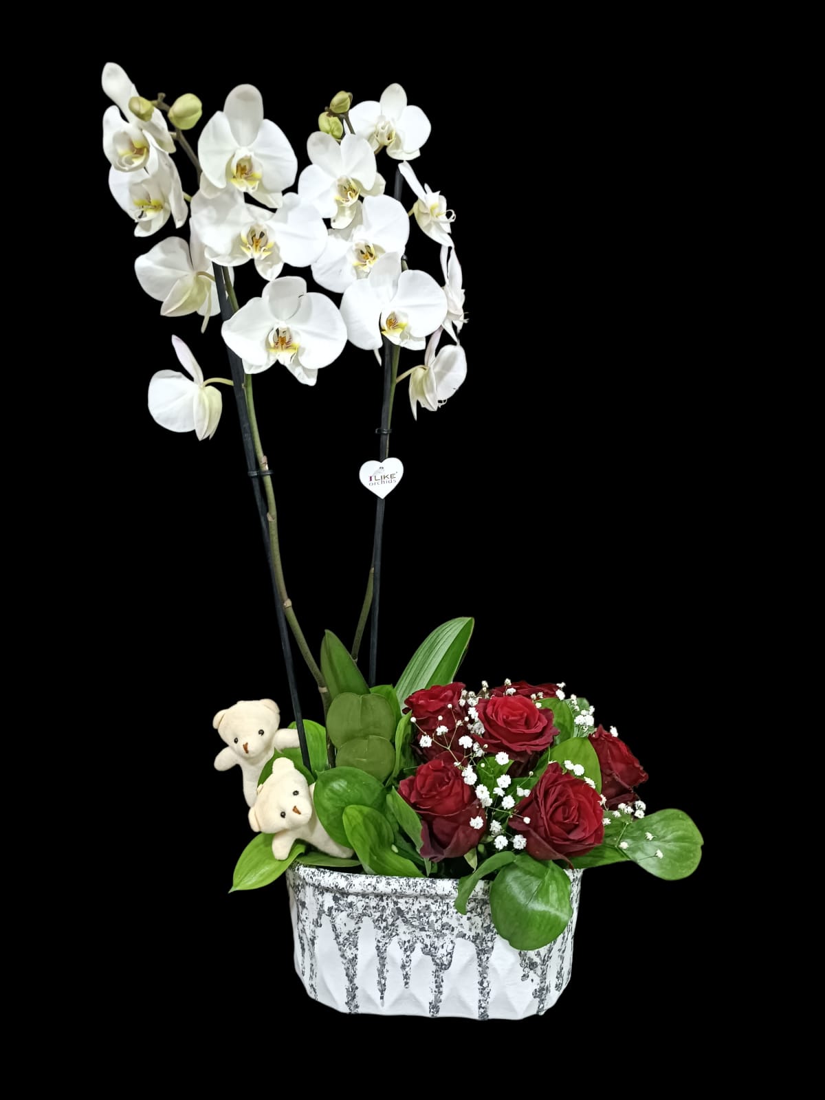 beyaz orkide ve güller